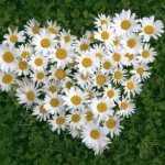 Катерина Карась